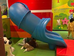 -上海乐高探索中心
