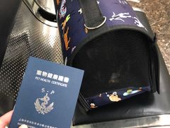 -申普宠物医院·心脏介入·心血管微创(总院)