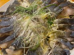 -夏雨路轩特色餐厅·十年经营