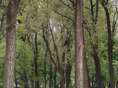 -二一九公园