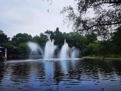 -上海共青森林公园