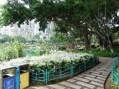 -江头公园