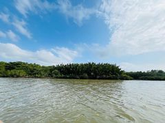 -东寨港红树林旅游区