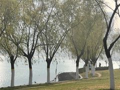 -天鹅湖体育公园