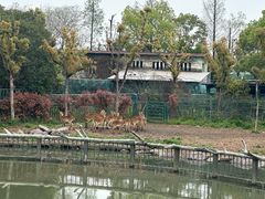 -宁波野生动物园