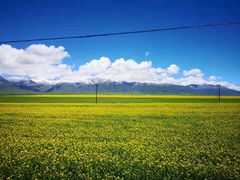 -青海湖国家重点风景名胜区