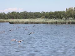 -南大港湿地风景区