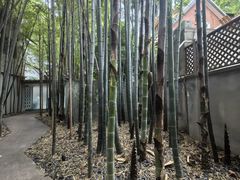 -穹六人间 people 6(岳阳路店)