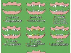 -山宅一喵德文卷毛猫舍