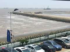窗户外的海景-天桥饭店·特色海鲜(金山嘴渔村店)