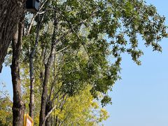 -马凯餐厅(长椿街店)