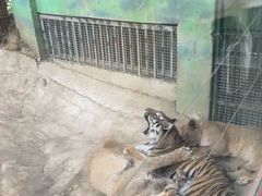 -栾川竹海野生动物园