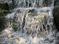 -海淀公园