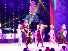 android_upload_pic-吴桥杂技大世界