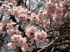 -吉林大学(南岭校区)