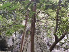 -西湖外事游船(花港观鱼码头)