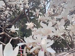 -北京市劳动人民文化宫(太庙)