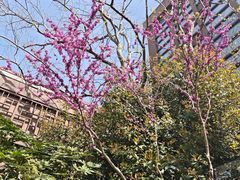 -水月周庄铂尔曼酒店-水月荟中餐厅