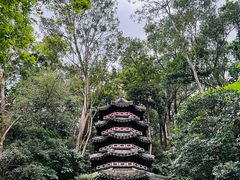 -深圳国际园林花卉博览园