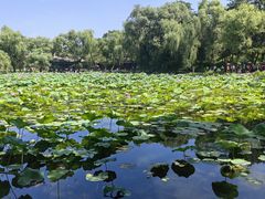 -承德避暑山庄景区