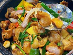 -明本湛江鸡•海鲜小厨(陈家祠店)