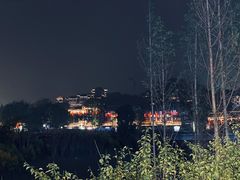 -陈建平麻花(磁器口总店)