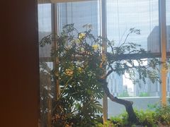 -海立阁海鲜江浙菜(漕河泾印象城店)