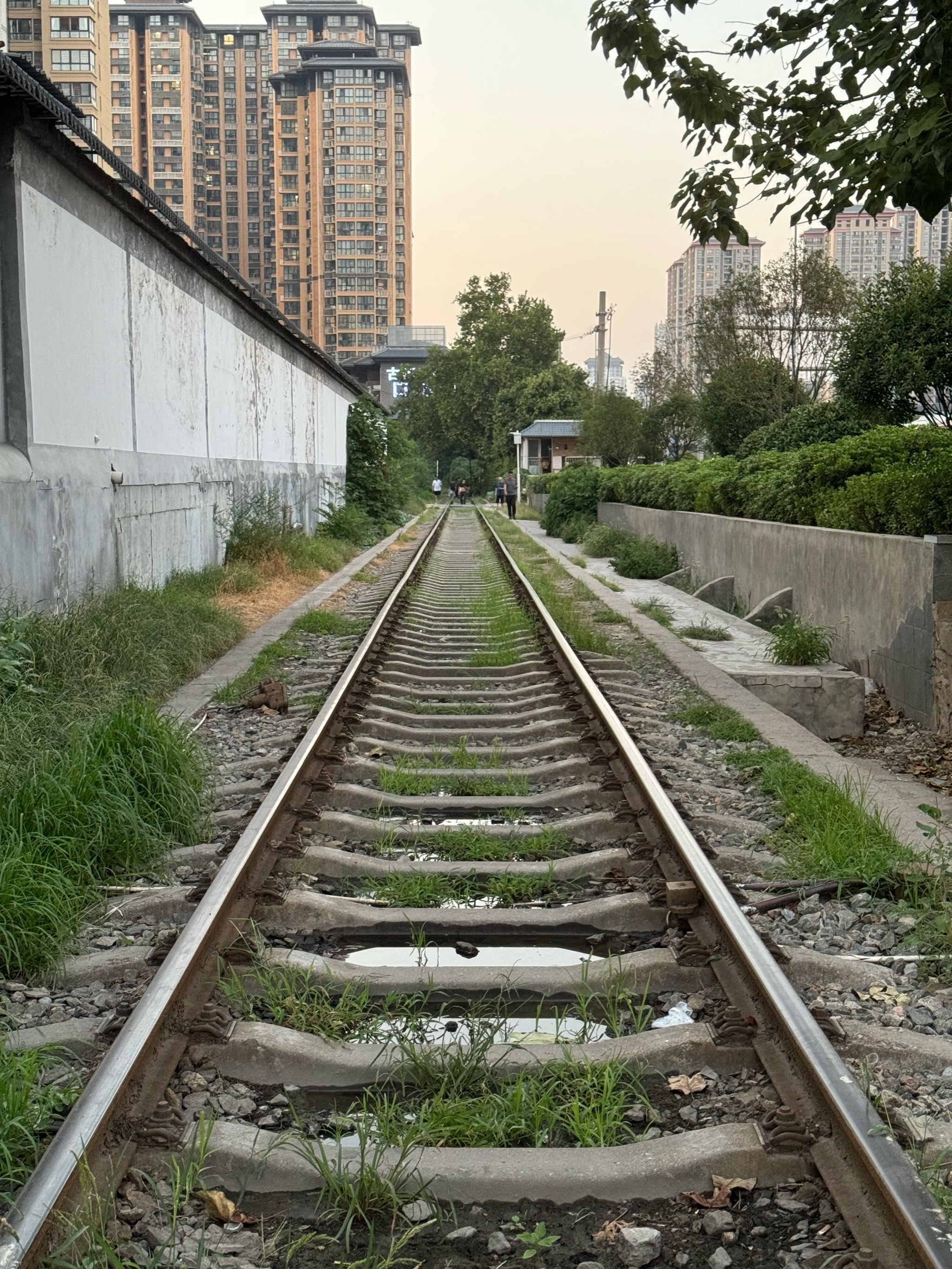 厦门废弃铁路图片