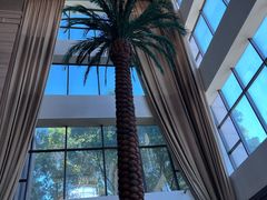 -上海东方佘山翰悦阁酒店·Vie全日制餐厅