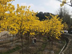 -红山村
