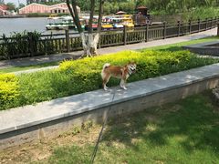 -上海长兴岛郊野公园