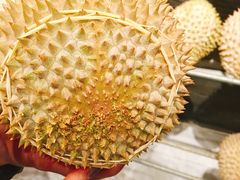 -都念榴莲·城市榴莲