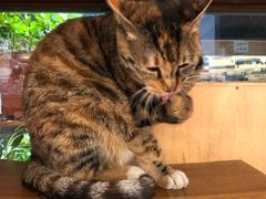 -猫的天空之城概念书店(杭州南宋御街店)