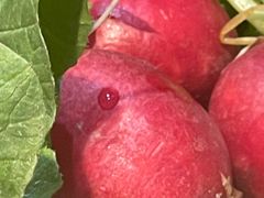 -铁锅炖灶台鱼老三炖鱼馆