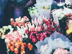 -桂林市花鸟市场