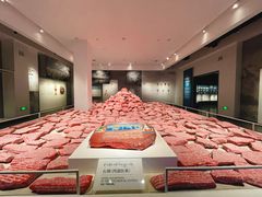-青海藏文化博物院
