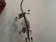-重庆自然博物馆(新馆)