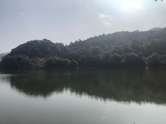 -广州市石门国家森林公园
