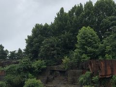 -宜兴龙背山森林公园