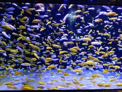 -成都浩海立方海洋公园