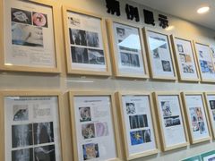 -半岛宠物医院24小时·内窥镜·牙科·碎石中心(府城大道店)