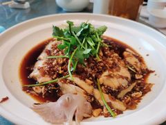 沙姜走地鸡-博多新记·粤菜(复兴店)