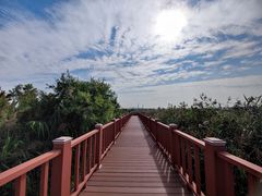 -芒洲湿地公园