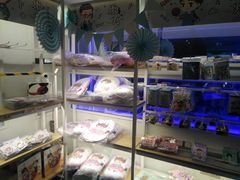 -IPSTAR|潮玩星球(西湖路店)