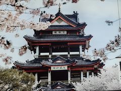 -蜜桃餐厅·伴山(绿宝广场店)