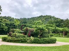 -野象谷景区