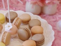 -云朵上的鱼(莘庄店)