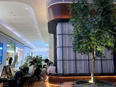 -同仁四季椰子鸡(宝安壹方城店)