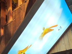 -徽三说·土徽菜·中国徽菜连锁品牌(一中店)