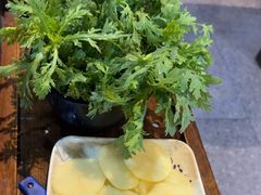 -鑫隆四季涮肉(香河店)